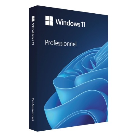 Microsoft Windows 11 Professionnel - OEM (DVD)