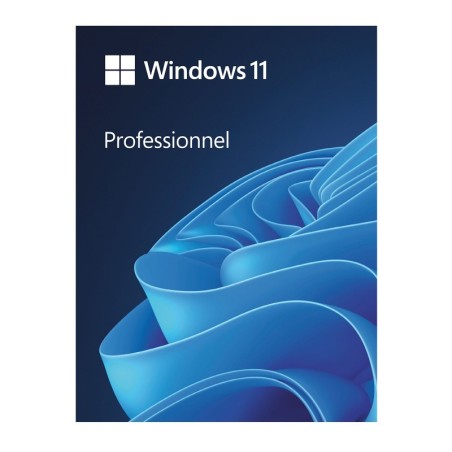 Microsoft Windows 11 Professionnel - Version clé USB