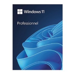 Windows 11 Pro - Licence perpétuelle - 1 PC - A télécharger