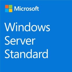 Microsoft Windows Server Standard 2022