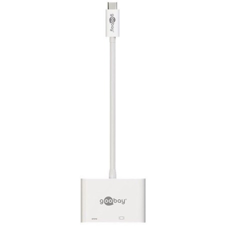 Goobay Adaptateur USB-C / DVI (M/F)