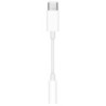 Apple Adaptateur USB-C vers mini jack 3.5 mm