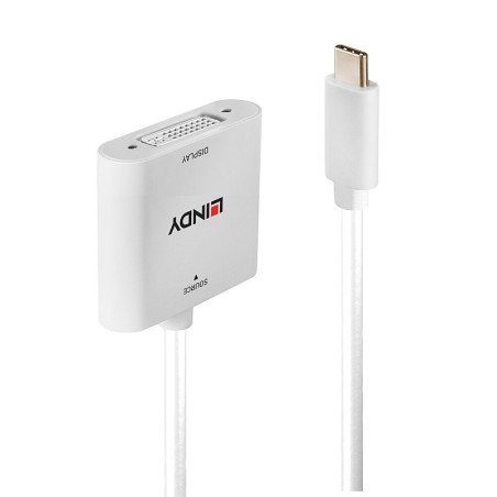 Lindy Adaptateur USB-C / DVI-D (M/F)