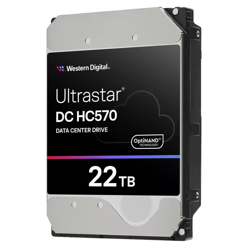 Western Digital Ultrastar DC HC570 22 To (0F48155)