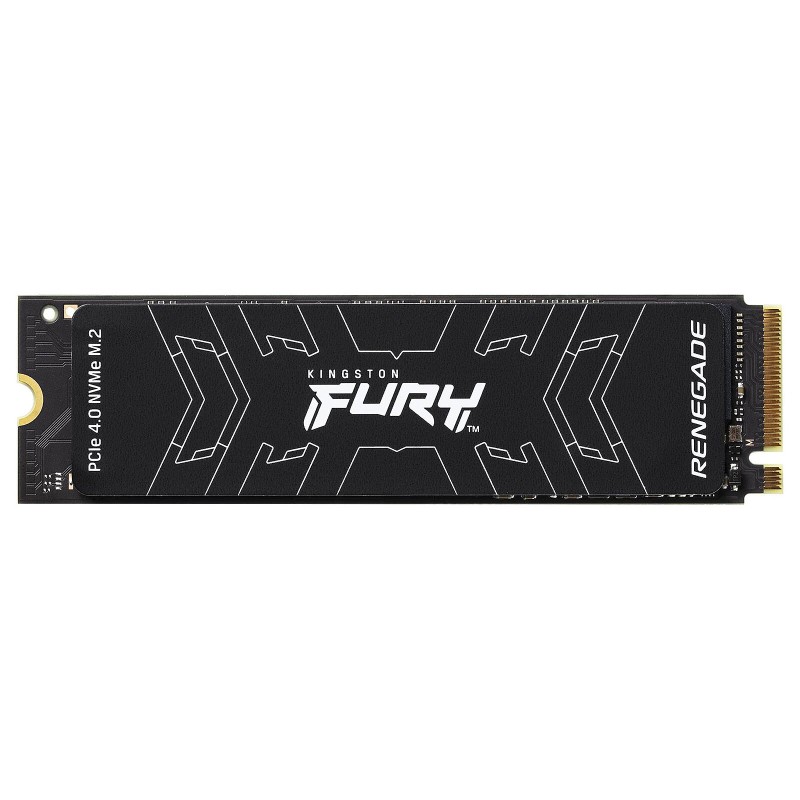 Kingston FURY Renegade 500 Go