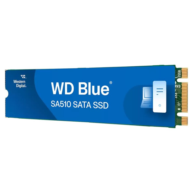 Western Digital SSD WD Blue SA510 250 Go - M.2