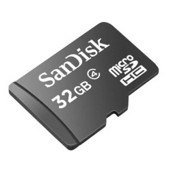 SanDisk Carte mémoire microSDHC 32 Go