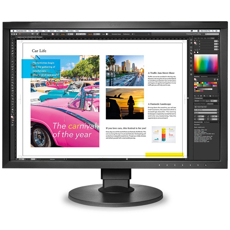 EIZO 24.1" LED - ColorEdge CG2420