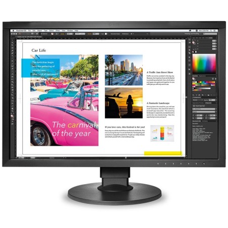 EIZO 24.1" LED - ColorEdge CG2420