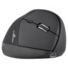 Bluestork Wireless Ergonomic Mouse