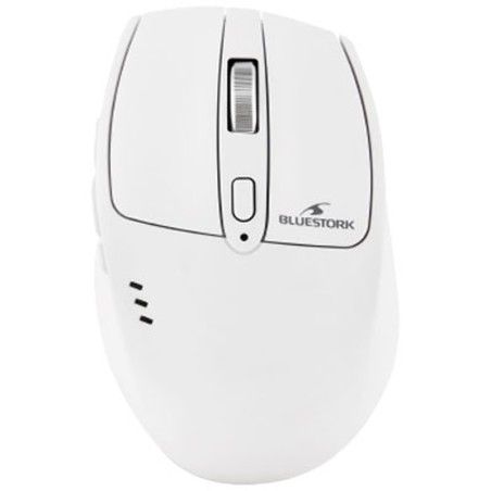 Bluestork R2 (Blanc)